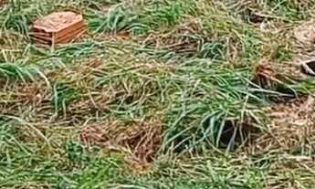 Imagem 4: Vendo um lote no jardim santa Rita mede 5/25 valor 56 mil reais