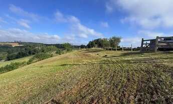 Imagem 7: LINDO TERRENO PARA FORMAÇÃO DE CHÁCARA PRÓXIMO AO CENTRO