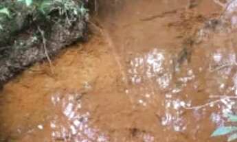 Imagem 4: Vende-se uma excelente chácara localizada no girassol , aceito carro em negócio