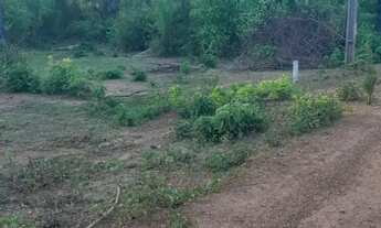 Imagem: Terreno para sitio