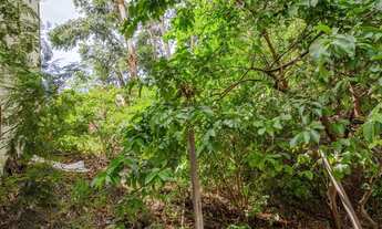 Imagem 7: Terreno - Pinheiros - 477m²