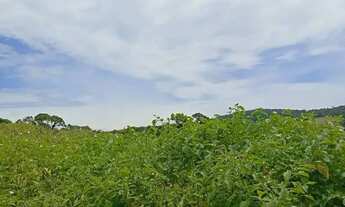 Imagem 6: Lotes de 1000m² em Ibiúna Direto para Quem Busca Espaço