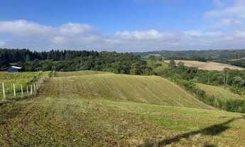 Imagem 4: LINDO TERRENO PARA FORMAÇÃO DE CHÁCARA PRÓXIMO AO CENTRO