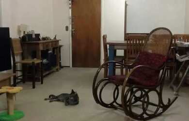 Imagem 7: APARTAMENTO - PERDIZES - SP