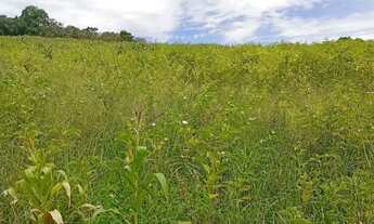 Imagem 7: Lotes de 1000m² em Ibiúna Direto para Quem Busca Espaço