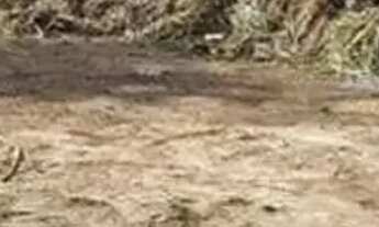 Imagem: Lote 360 ms2, última UNIDADE da melhor