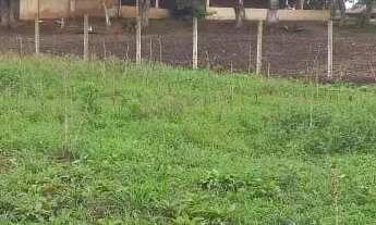 Imagem 4: Área moradia investimento Caminho Vinho S.J.P