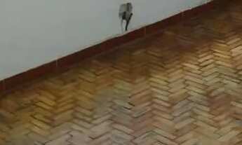 Imagem 2: Casa em Rua Fritz Reimann - Vila São João - Guarulhos/SP