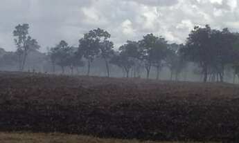 Imagem 4: Excelente oportunidade