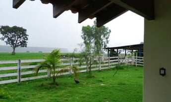 Imagem 6: Excelente oportunidade