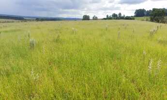 Imagem 6: Sorocaba Região Sítio 20 Alqueires