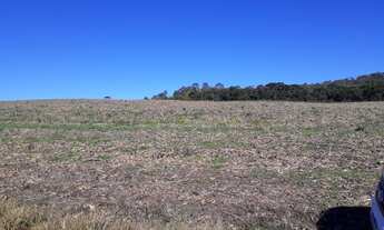 Imagem 7: Área de Lavoura para Venda, Toda Mecanizável não Aceita Permuta