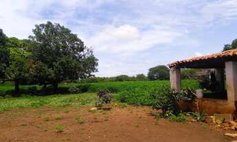 Imagem 7: Fazenda com 530 hectares em Campo Maior -Piauí, terra para lavoura, excelente solo!