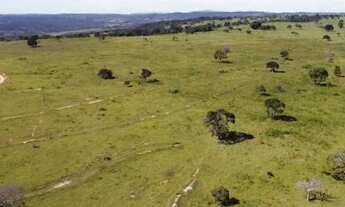 Imagem: Fazenda 68 Alq/Rianapolis/GO