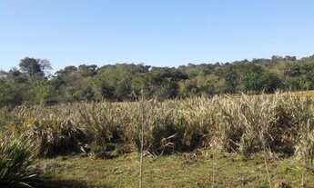 Imagem 2: Chacara 12.000² em Londrina Fundos com Rio 3 Bocas