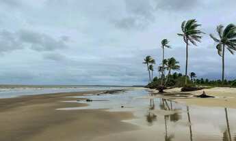 Imagem 6: Casa de vila térrea para aluguel e venda tem 75 metros quadrados com 2 quartos