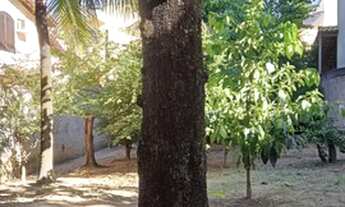 Imagem 4: Pedra de Guaratiba-Centro-225m-Terreno-Junto à praça