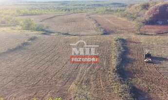 Imagem: Fazenda em Lizarda-TO. gt 358 Alq. (1.732