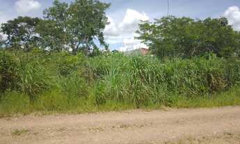 Imagem 5: Fazenda/Sítio/Chácara para venda tem 1250 metros quadrados em ZON - Alexânia - GO MCIMOVEI