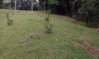 Imagem 6: FLORIANóPOLIS - Terreno Padrão - Ribeirão da Ilha