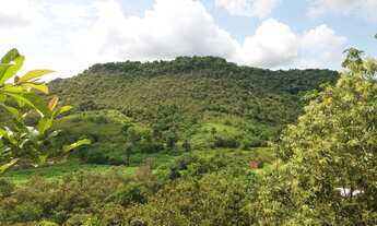 Imagem 4: Fazenda Urubus à venda, com 3.864.000 metros quadrados no bairro Vale das Pedrinhas