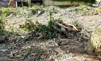 Imagem 3: Lote/Terreno para venda no Frade - Macaé/RJ