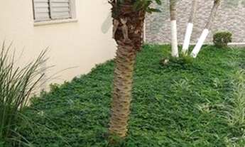 Imagem 4: Apartamento em Paulicéia - São Bernardo do Campo