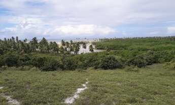 Imagem 3: Área Frontal 36000 m² em Barra do Itariri