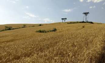 Imagem 2: Fazenda Carolina