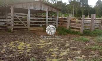 Imagem 5: Machadinho D'Oeste - Sítio - 15 Alqueires