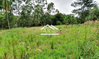 Imagem 7: Terreno às margens da BR 116 em Picada Café na serra gaúcha