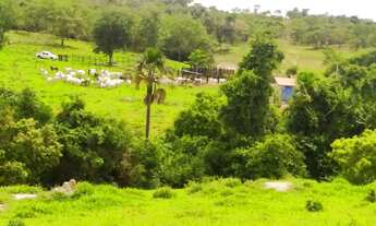 Imagem: Fazenda 23,5 Alqueires em Corumbaíba Goiás