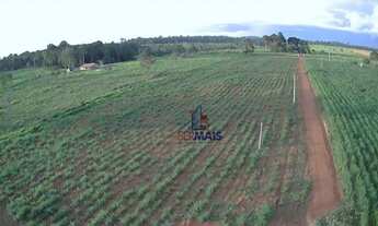 Imagem 6: Sítio à venda, 271040 m² por R$ 800.000,00 - Zona Rural - Machadinho D'Oeste/RO