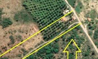 Imagem: Chácara 10.306 m² em Conde bahia