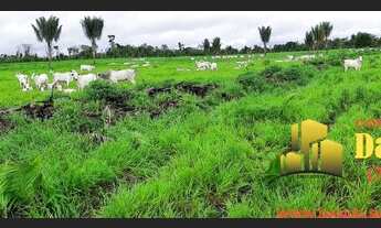Imagem 2: FAZENDA RURAL em Mascote - BA, BA-678