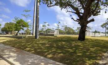 Imagem 7: Lotes 5 min centro de Eusébio CE Bairro Terra Brasílis
