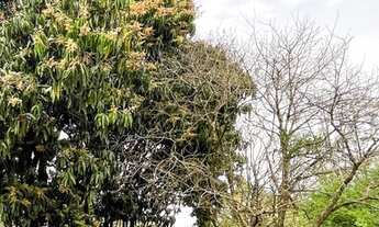 Imagem 5: Fazenda/Sítio/Chácara para venda possui 3045 metros quadrados com 3 quartos