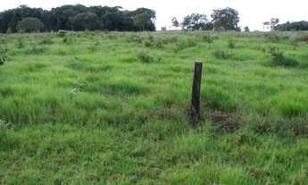 Imagem 7: Fazenda de 3323 alqueires no Vale do Araguaia