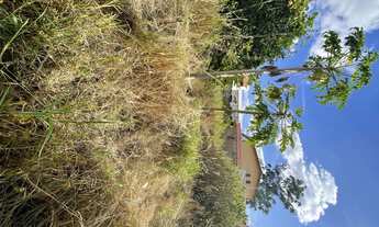 Imagem 5: Imóvel para venda possui 320 metros quadrados em Jardim América - Campinas - São Paulo,tod