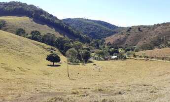 Imagem 5: V(331)Sitio com 31,5 hectares a venda no bairro Linhares - Juiz de Fora/MG