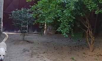 Imagem 7: Pedra de Guaratiba-Centro-225m-Terreno-Junto à praça