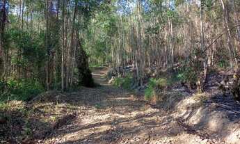Imagem 7: Terreno 3 alqueires com nascente dentro