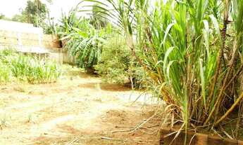 Imagem 5: Casa 4quartos suítes lote 2.200m2 c/escritura colônia agrícola Vicente Pires