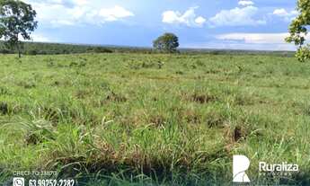Imagem 6: Fazenda com dupla aptidão na região de Cristalândia - TO