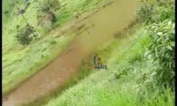 Imagem 5: Sítio à venda - Espigão D'Oeste/RO