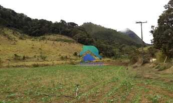 Imagem 3: Excelente Fazenda com pasto alto - Vale Alpino - Teresópolis RJ