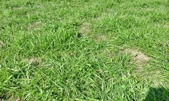 Imagem 3: Esquina, 570m2, Pedra Branca, Palhoça