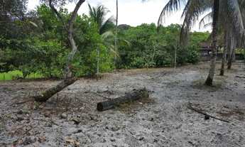 Imagem 5: 321)Lotes em Cações a 100m da Praia ( Rua tranquila sem saída e residencial