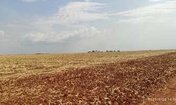 Imagem 3: Fazenda em Santa Rosa com 1895 hectares