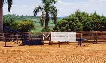 Imagem 4: Santo Antônio de Posse, Haras